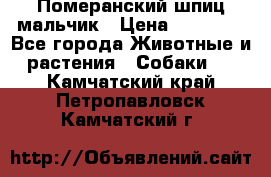 Померанский шпиц мальчик › Цена ­ 30 000 - Все города Животные и растения » Собаки   . Камчатский край,Петропавловск-Камчатский г.